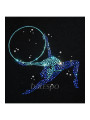 Gymnastics tight-fitting t-shirt BALESPO BC210.3-100 with blue crystals "Gymnast with hoop"