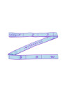 Balespo Resistance Band PGB-003 for Strengthening Exercises – 10 Sections